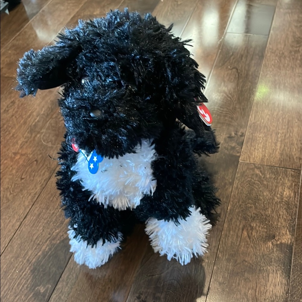 TY Classic Plus Bo the Portuguese Water Dog Collectible